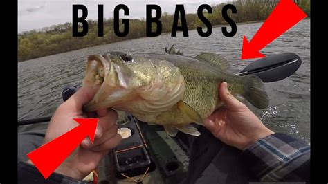 Catching Big Spring Bass On Crappie Jigs Youtube