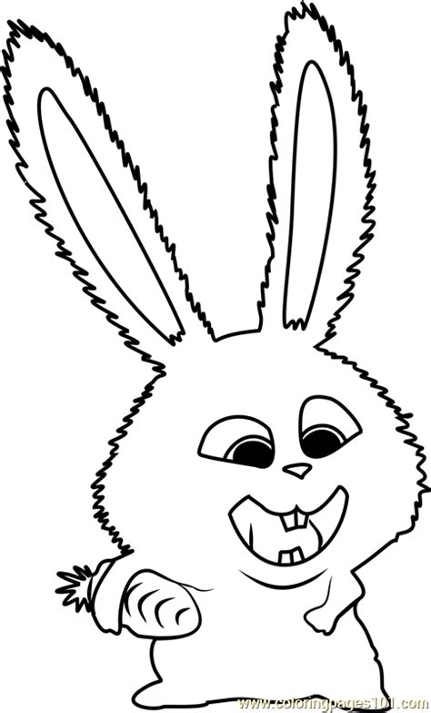 Secret Life Of Pets 2 Snowball Coloring Pages Coloring Pages