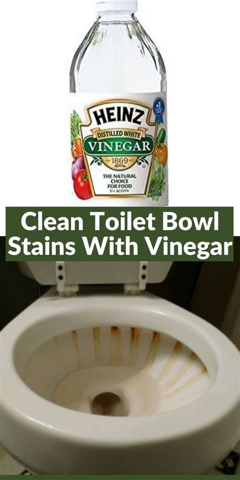 Clean Toilet Bowl Stains With Vinegar Toilet Bowl Stains Clean