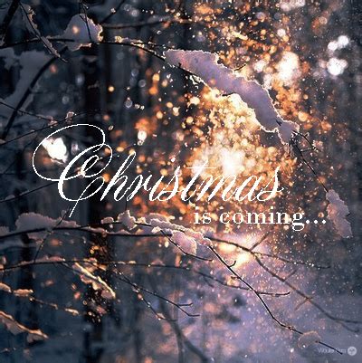 Christmas Is Coming Quotes – VitalCute