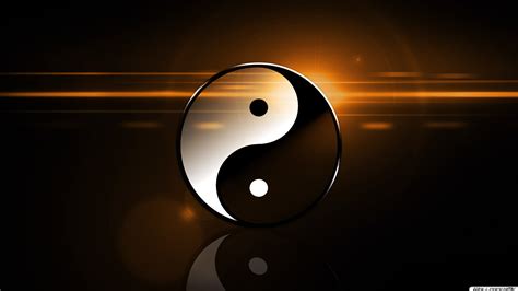 445 Yin Yang Dragon Hd Wallpaper Picture - MyWeb