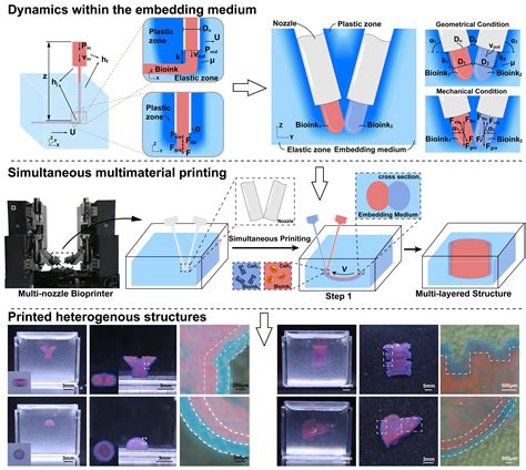 Simultaneous Multi Material Embedded Printing For D Heterogeneous