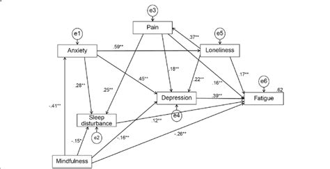 Path Diagram For The Final Model Download Scientific Diagram