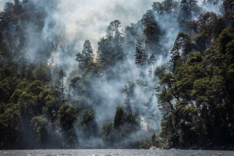 Fundación Greenpeace Argentina Incendios Forestales