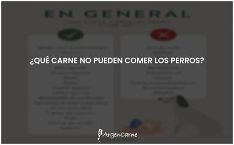 Carne No Apta Para Perros Conócela Aquí Argencarne