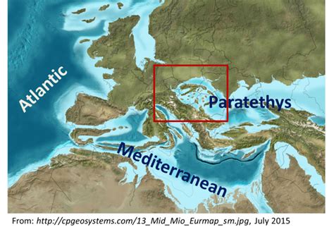 Paratethys - Alchetron, The Free Social Encyclopedia