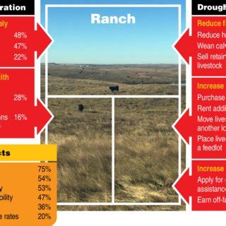 A Drought Management Strategies Wyoming Ranches Use To Balance Forage