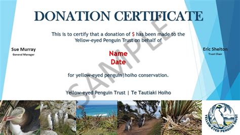 Certificate Of Donation Template