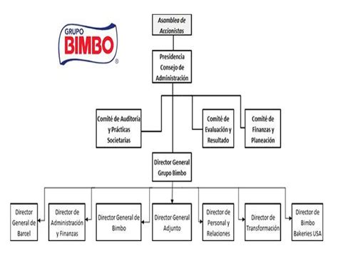 Organigrama Bimbo Sustentabilidad Para Las Organizaciones Studocu The