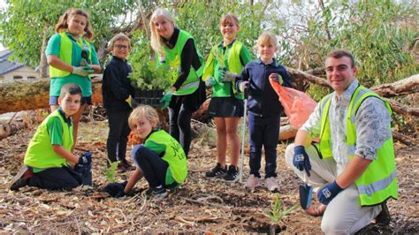 Pearsall Primary School Adopts Bushland Park Community News