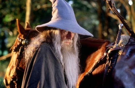 Gandalf With His Wizards Hat Lord Of The Rings The Hobbit Gandalf