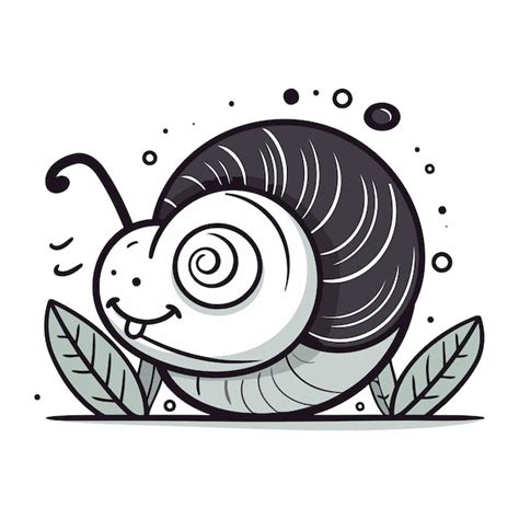 Premium Vector Snail Vector Illustration Isolated On A White Background