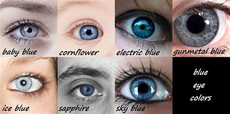 eye colors blue eye color chart blue eye color writing inspiration ...