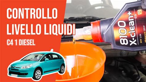 Controllo E Rabbocco Livello Liquidi Citro N C Hdi Youtube