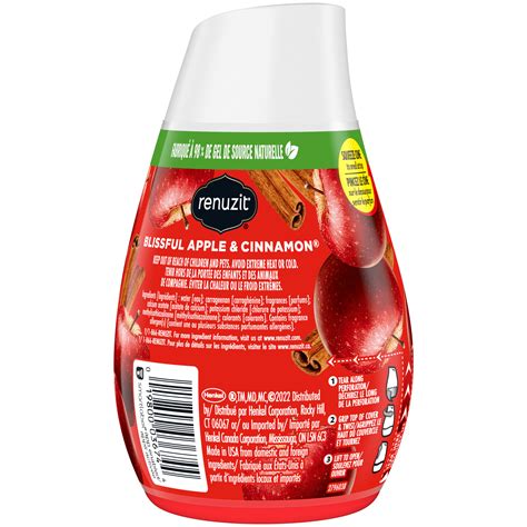 Buy Renuzit Adjustable Solid Gel Air Freshener Cone Apple Cinnamon