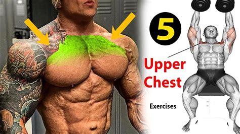 Killer Upper Chest Workout YouTube