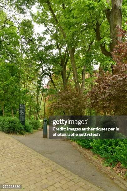 nature park entrance stock  high res pictures  images
