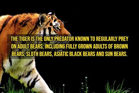 Interesting Facts 15 Pics