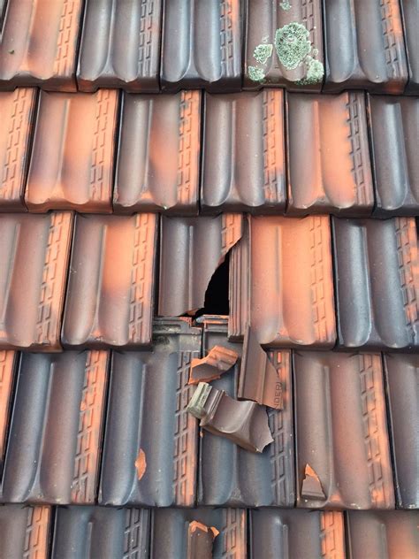 5 Common Reasons For A Leaky Tiled Roof Roof Repair Restoration