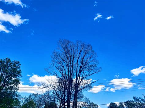 Crisp Autumn Sky Free Stock Photo Public Domain Pictures