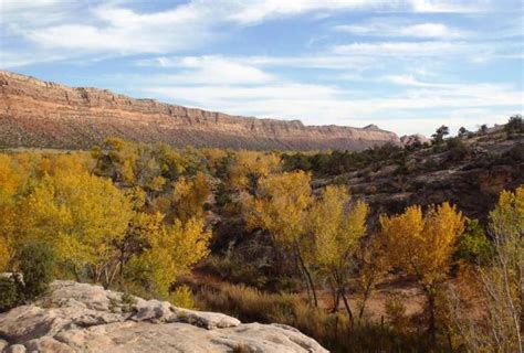 Bears Ears National Monument | Utah.com