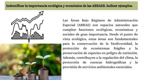 Ley Penal Ambiental Nicol S Ferrer Pdf