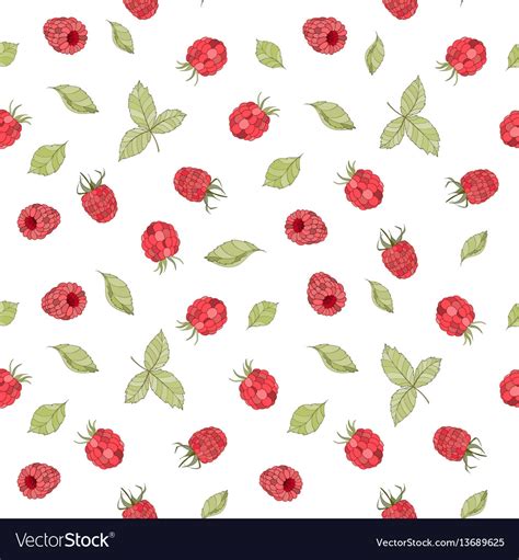 Seamless Raspberry Pattern Royalty Free Vector Image