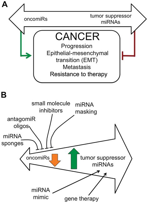 Targeting oncomiRNAs and mimicking tumor suppressor miRNAs Νew trends