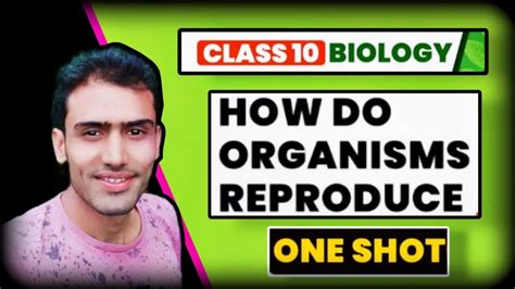 How Do Organisms Reproduce Class 10th Cbse State Board Ncert One