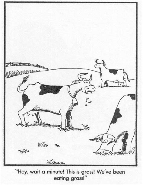 Gary Larson S 10 Funniest Far Side Comics About Cows