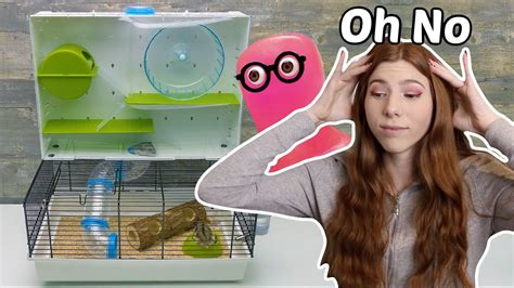 Pet YouTuber reacts to Slick Slime Sam Slime, Pets, Youtube, Animals ...