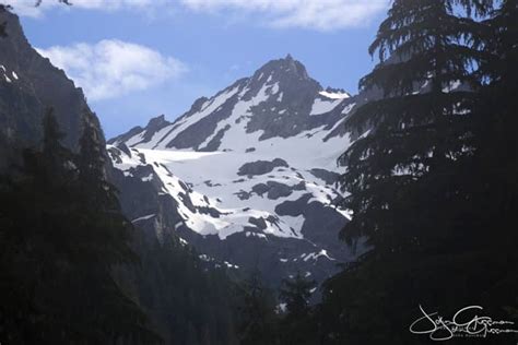 Visiting Olympic National Park Forest And Marine Sanctuary