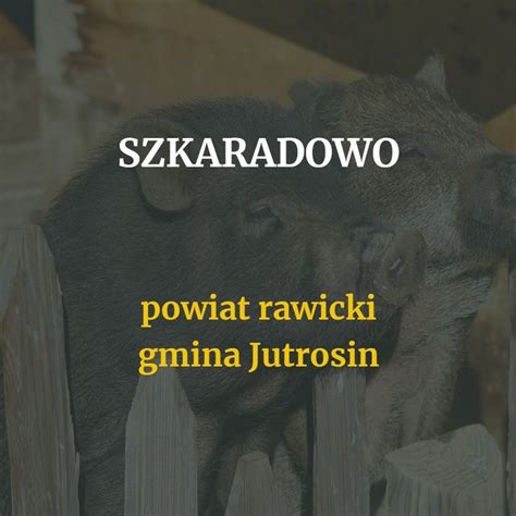 Szkaradowo Głos Wielkopolski