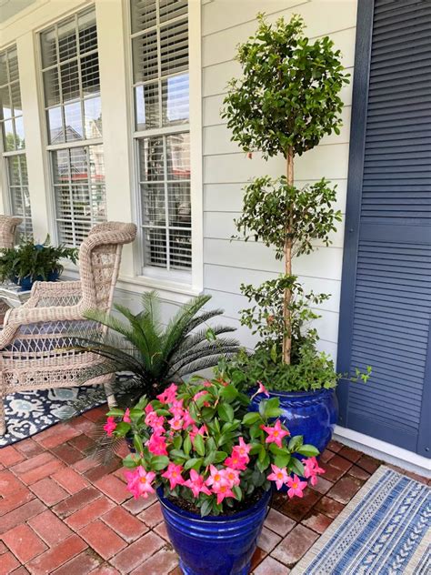 Front Porch Plants Ideas Decoomo