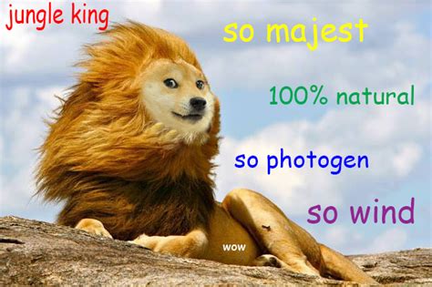 [image 702027] The Lion King Know Your Meme