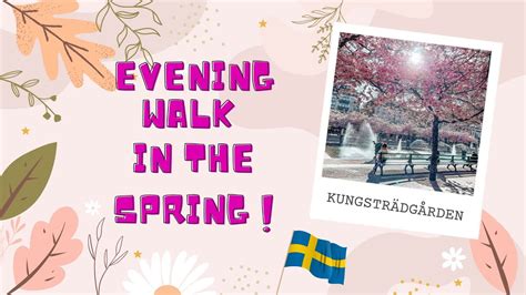 Evening Walk During Spring At Kungstr Dg Rden Stockholm Sweden