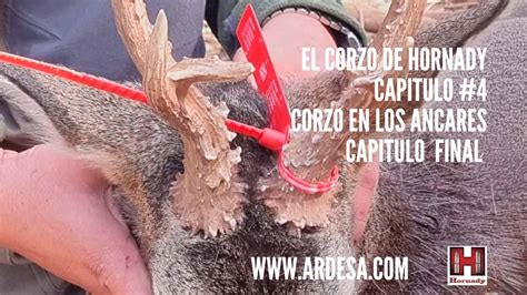 El Corzo De Hornady Cap Cazaflix