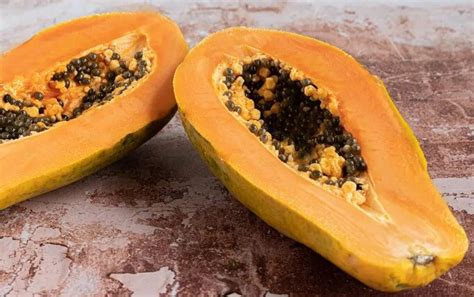 Can You Eat Papaya Seeds Dry Papaya Seeds Chef Reader