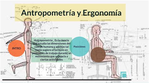 Ergonomia Y Antropometria Riset