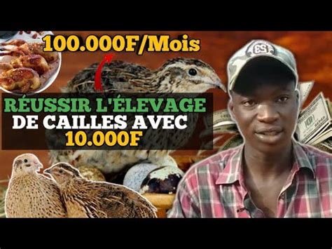 Comment D Buter Son Levage Avec Un Petit Budget De F En Afrique