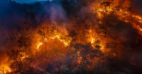 14 Year Old Arrested For Allegedly Starting New Jersey Forest Fire