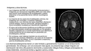 Encefalopatia Uremica Pptx