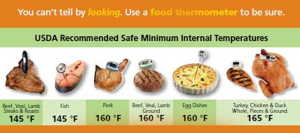 Food Temperature Guide Food Safety Temperatures Food Off