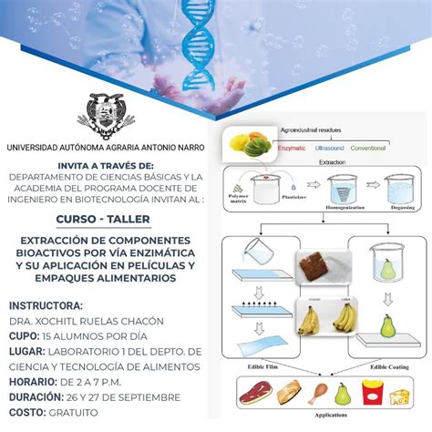 Curso Taller Extracci N De Componentes Bioactivos Por V A Encim Tica