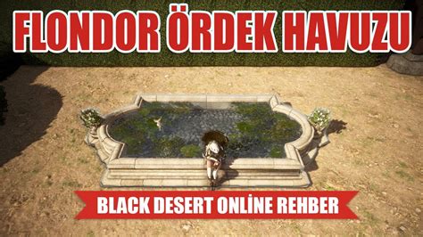 K K Flondor P Nar Retimi K K E Yalar Black Desert Online