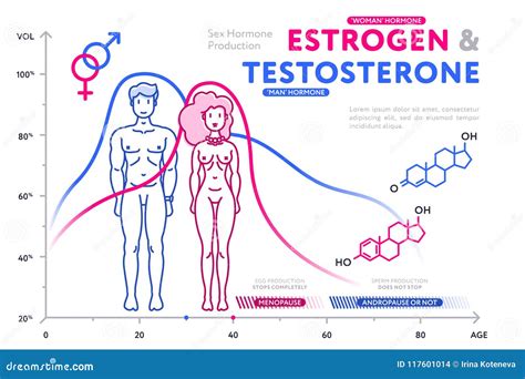 Diagrama Colorido Que Muestra Las Hormonas Masculinas Y Femeninas