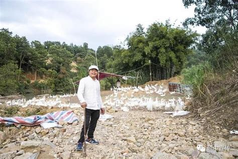 瓊中致富帶頭人劉松應：養殖產業助推農民脫貧致富 每日頭條