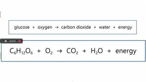 13 Respiration Equations Youtube