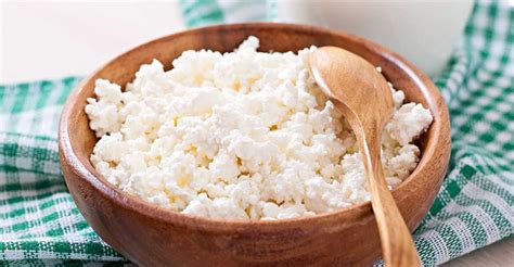 10 Health Benefits Of Cottage Cheese High Protein And Vitamin Rich