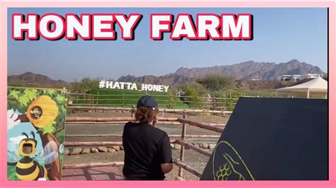 Honey Farmhatta Oman Kurita Maldita Youtube